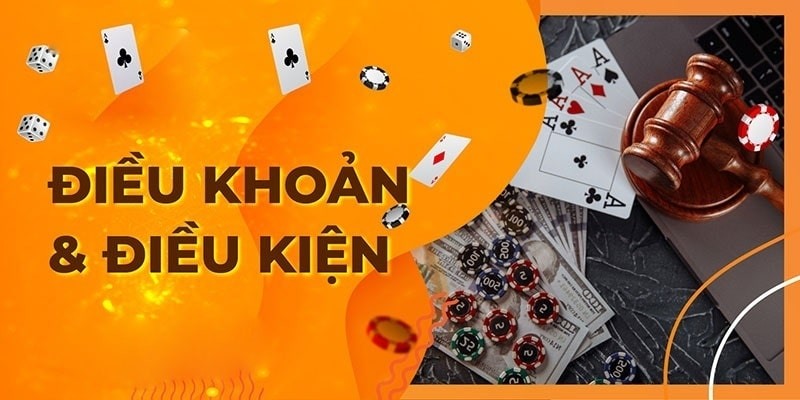 Điều khoản điều kiện về vấn đề xóa bỏ dữ liệu